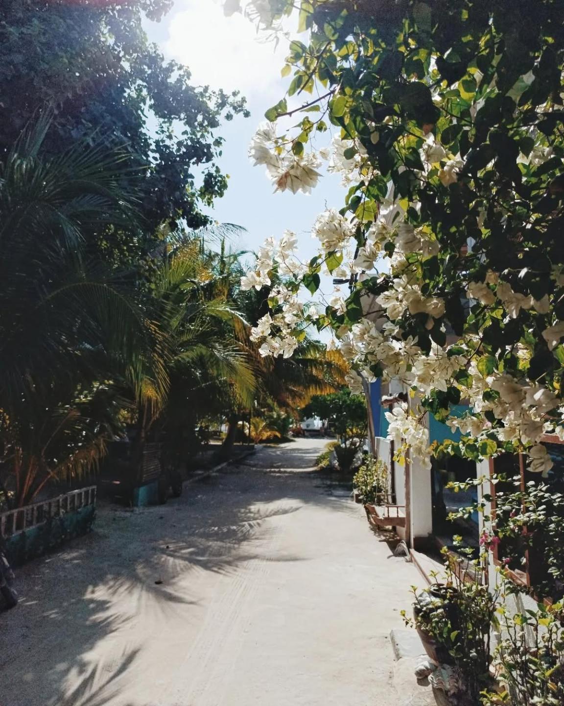 Kudhi Boli Beach House ثولوسدو المظهر الخارجي الصورة