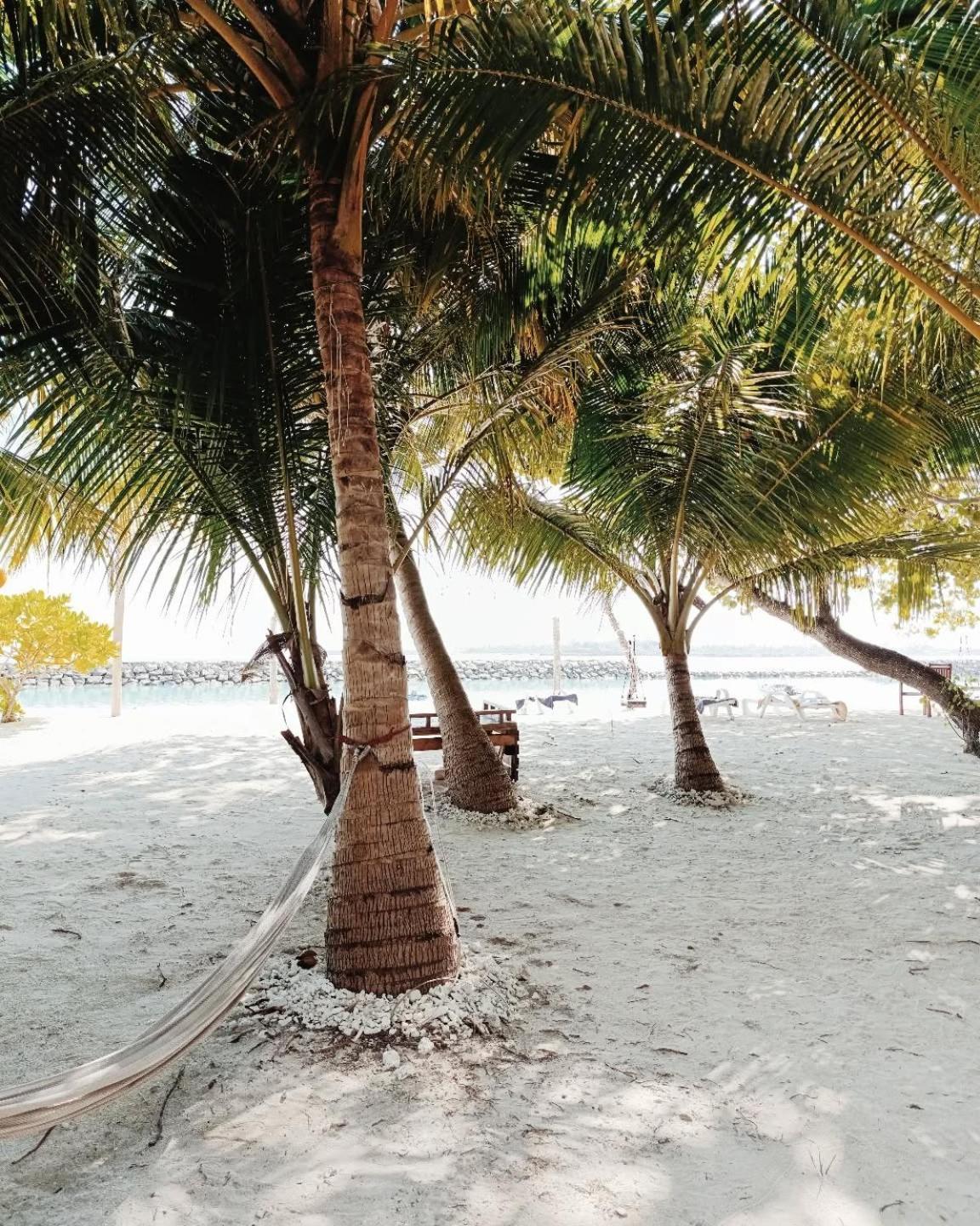 Kudhi Boli Beach House ثولوسدو المظهر الخارجي الصورة
