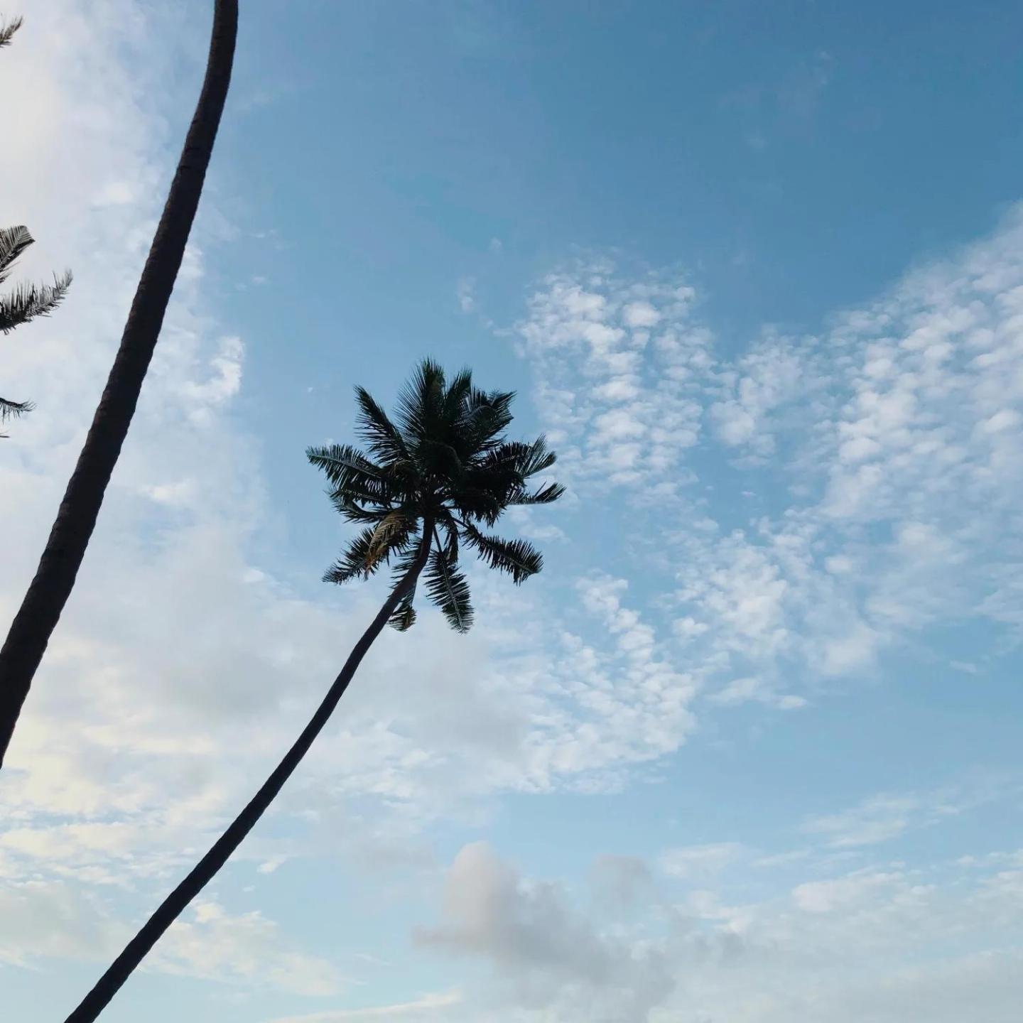 Kudhi Boli Beach House ثولوسدو المظهر الخارجي الصورة