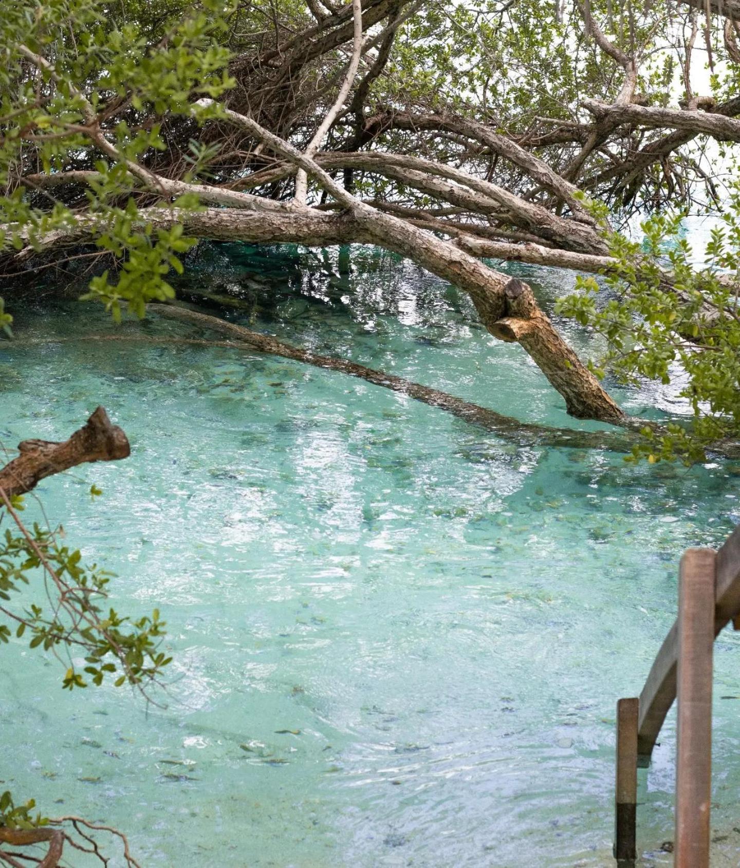Kudhi Boli Beach House ثولوسدو المظهر الخارجي الصورة
